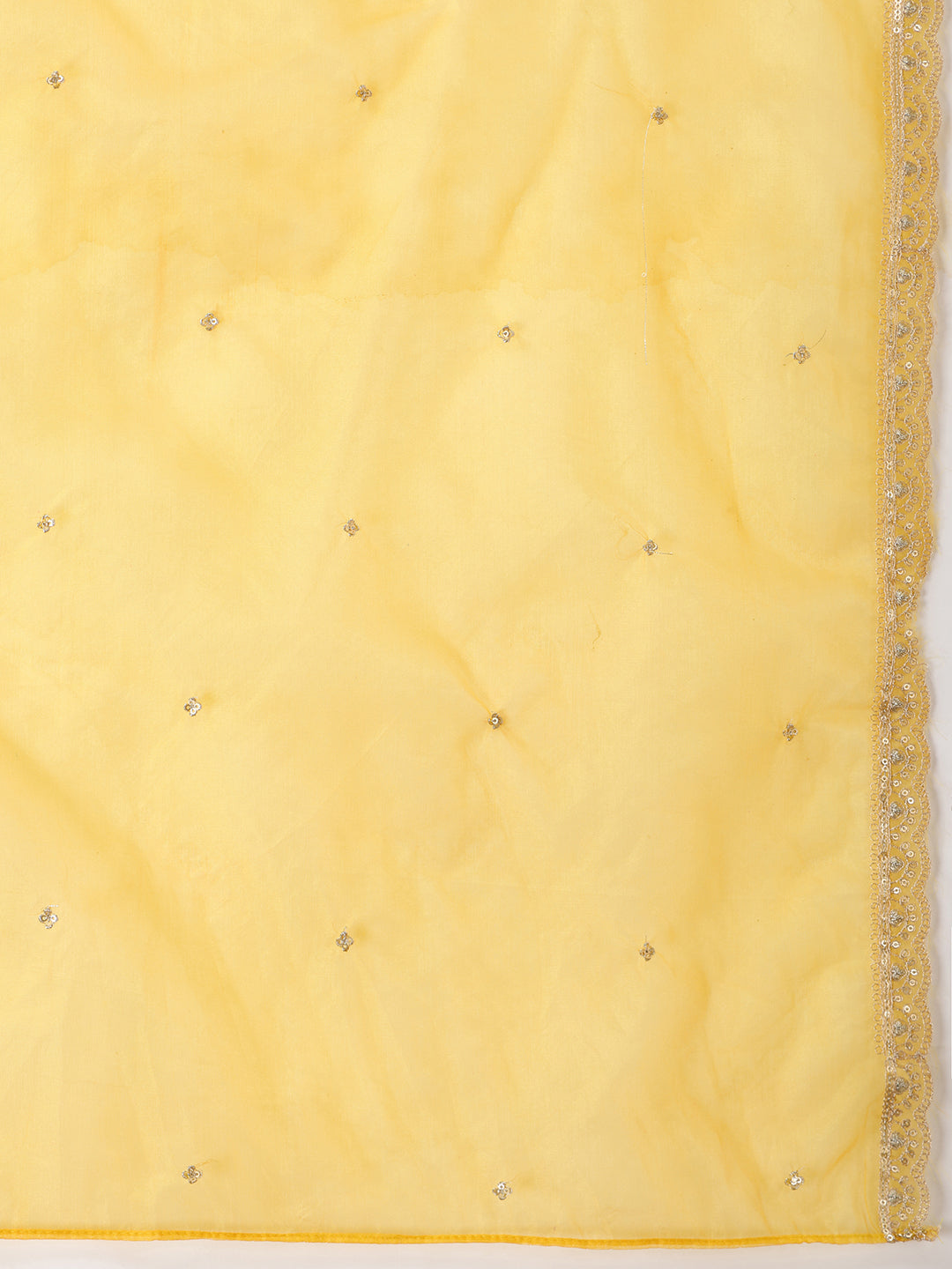 Sequin Embroidered Kurta with Pant & Embroidered Organza Dupatta
